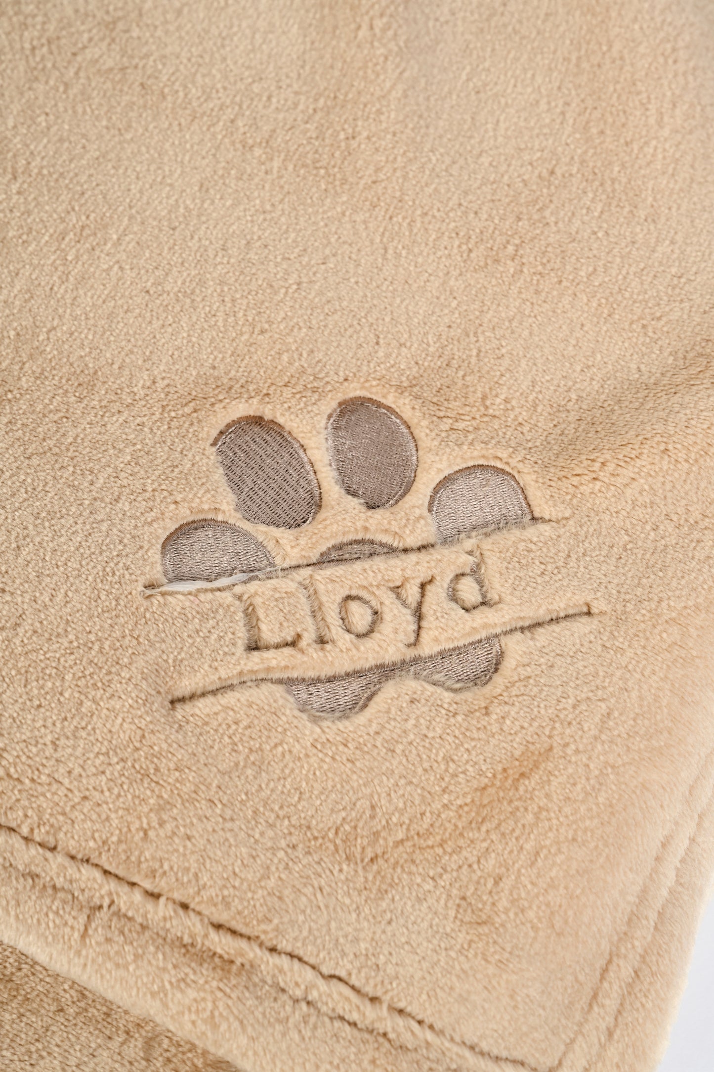 Personalised Pampered Pup Plush Blanket
