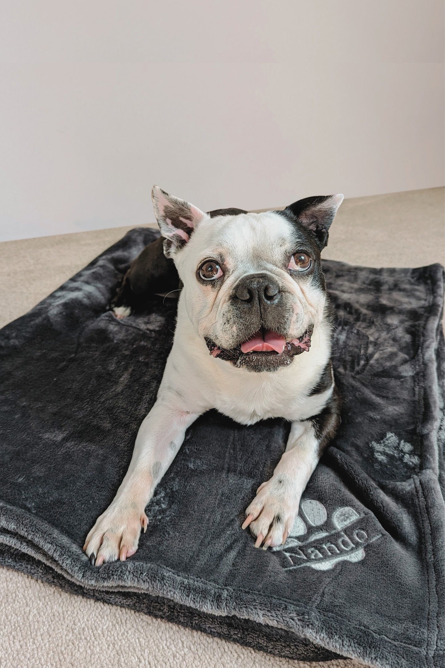 Personalised Pampered Pup Plush Blanket