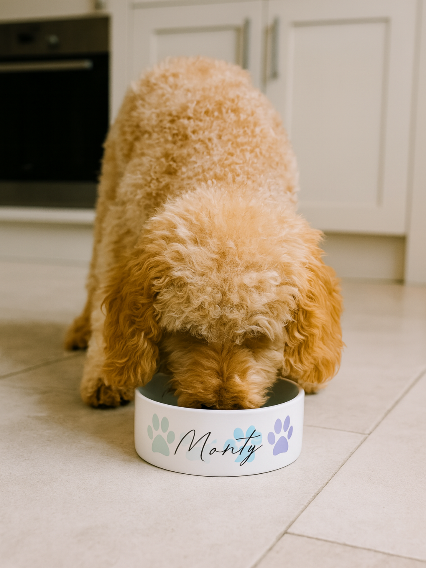 Blue Personalised Four Paws Bowl