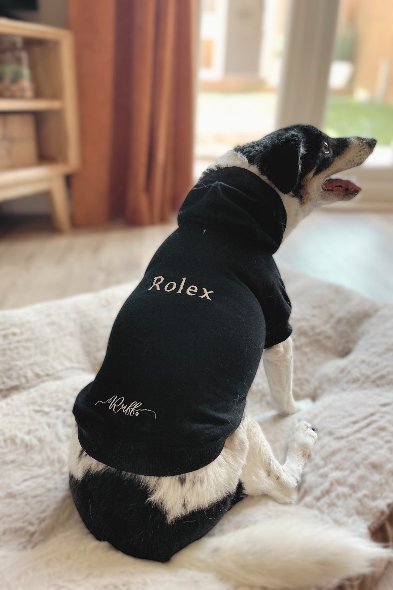 Personalised Luxury Dog Hoodies