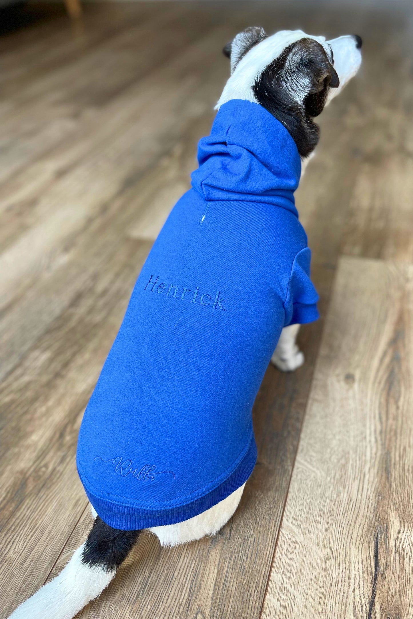 Personalised Luxury Dog Hoodies