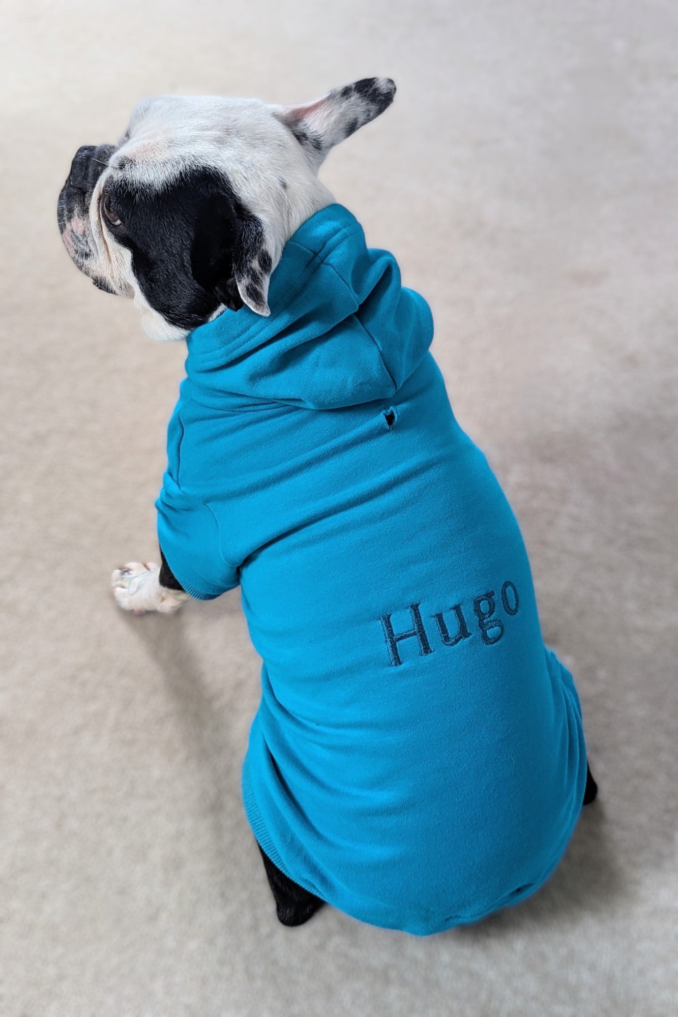 Personalised Luxury Dog Hoodies