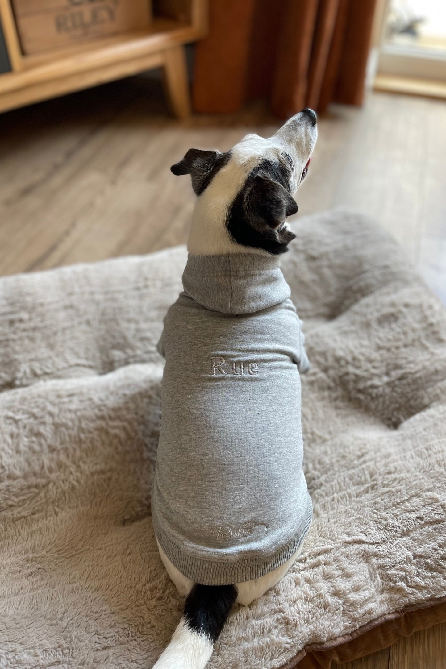 Personalised Luxury Dog Hoodies