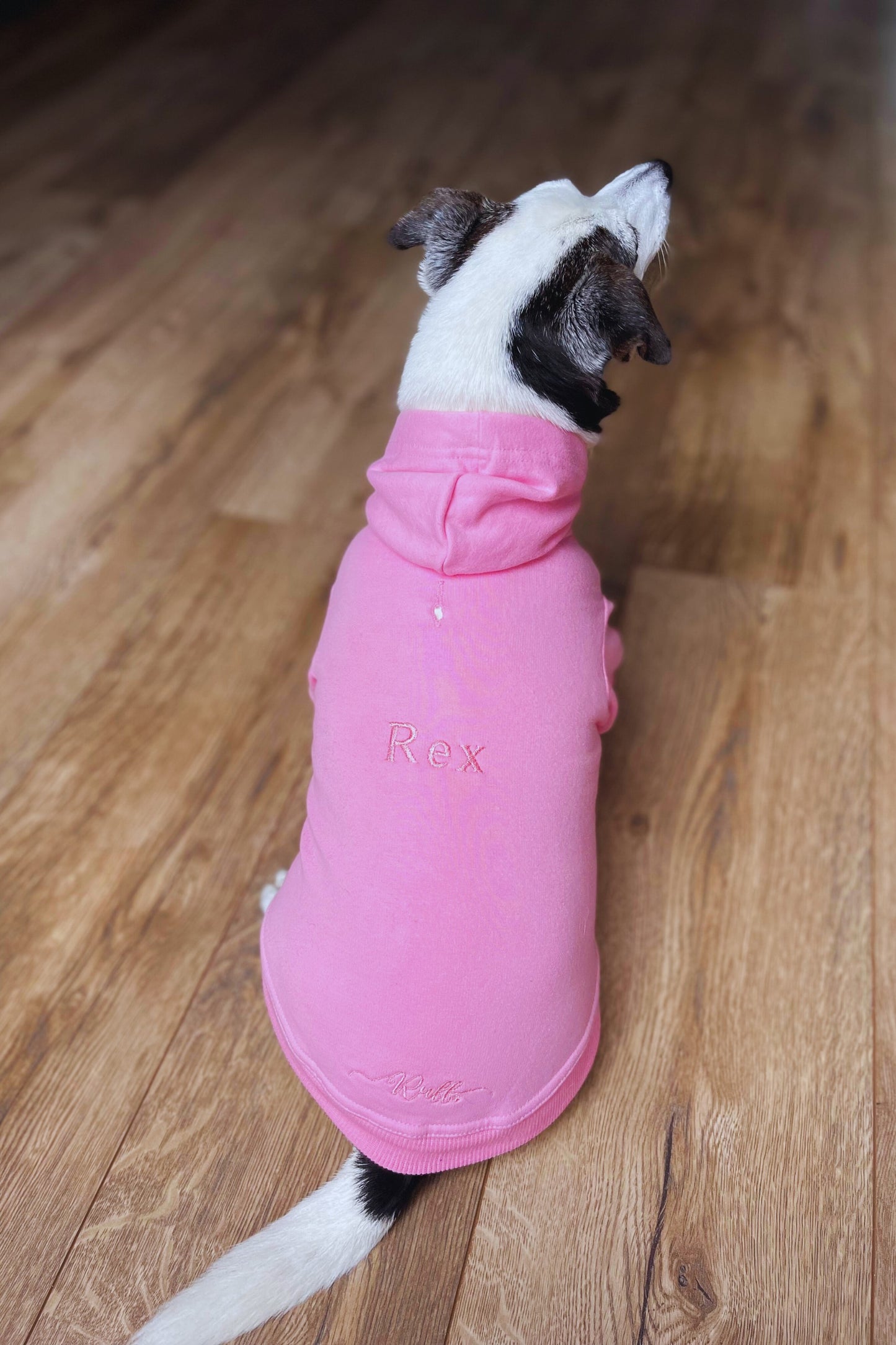 Personalised Luxury Dog Hoodies
