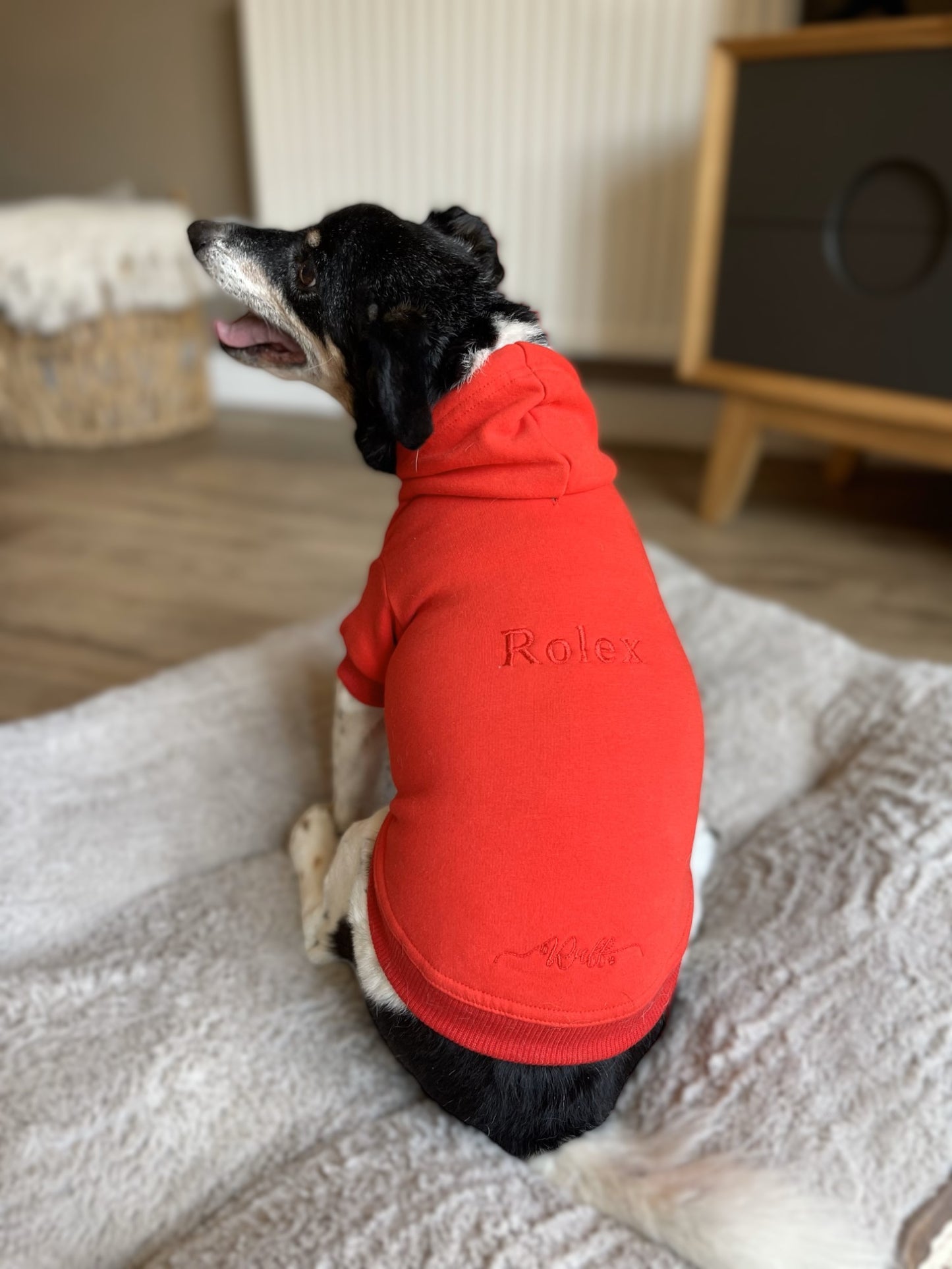 Personalised Luxury Dog Hoodies
