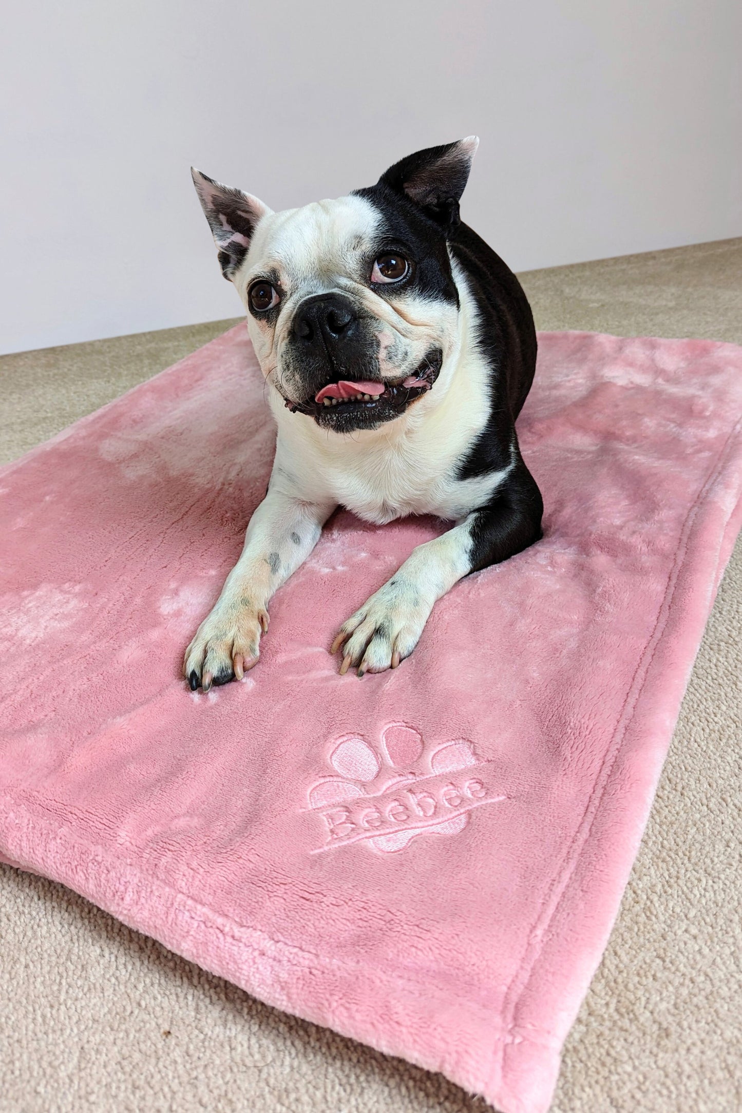 Personalised Pampered Pup Plush Blanket