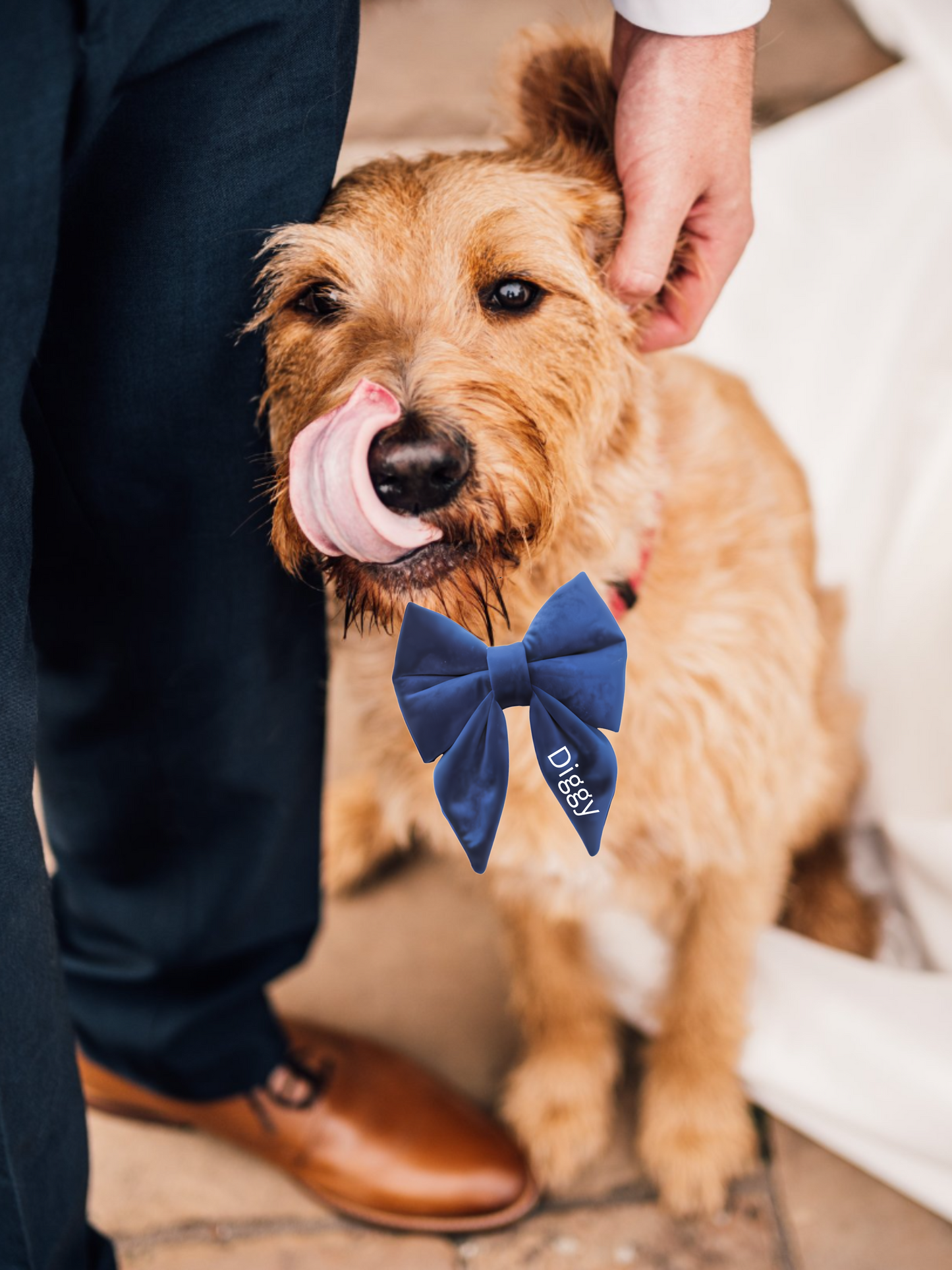 Personalised Doggy Velvet Bow