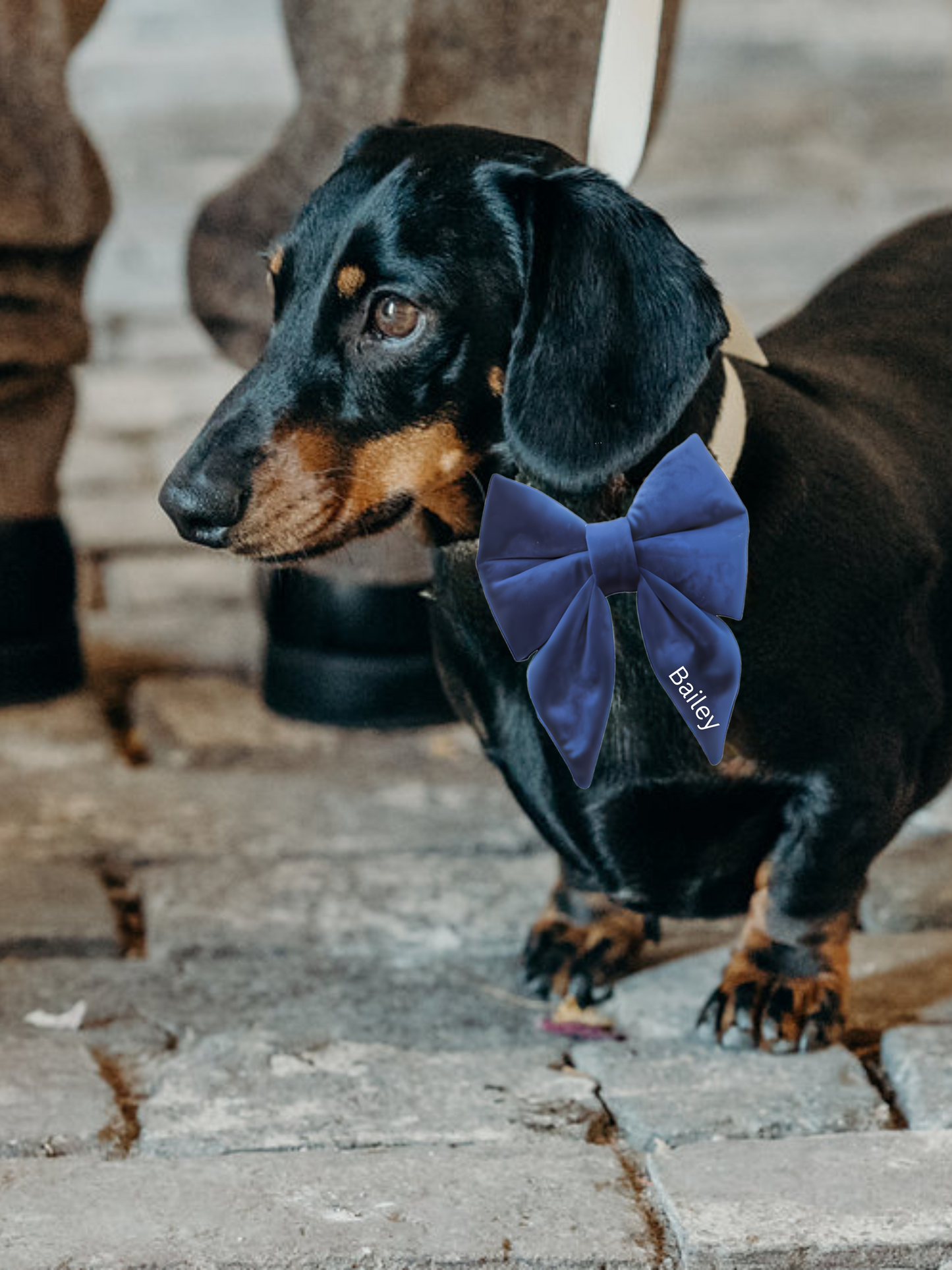 Personalised Doggy Velvet Bow