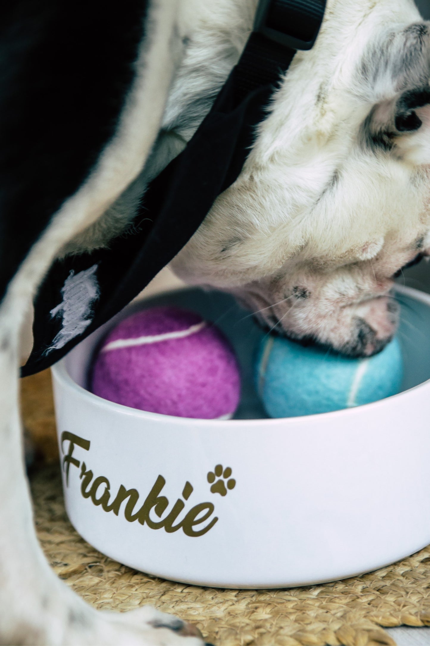 Personalised Pet Bowl