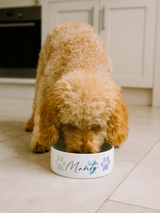 Blue Personalised Four Paws Bowl