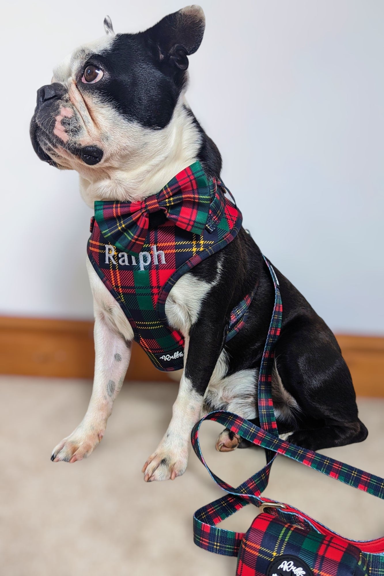 Tartan Adjustable Harness