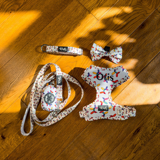 Personalised Balloon Pawty Harness Set
