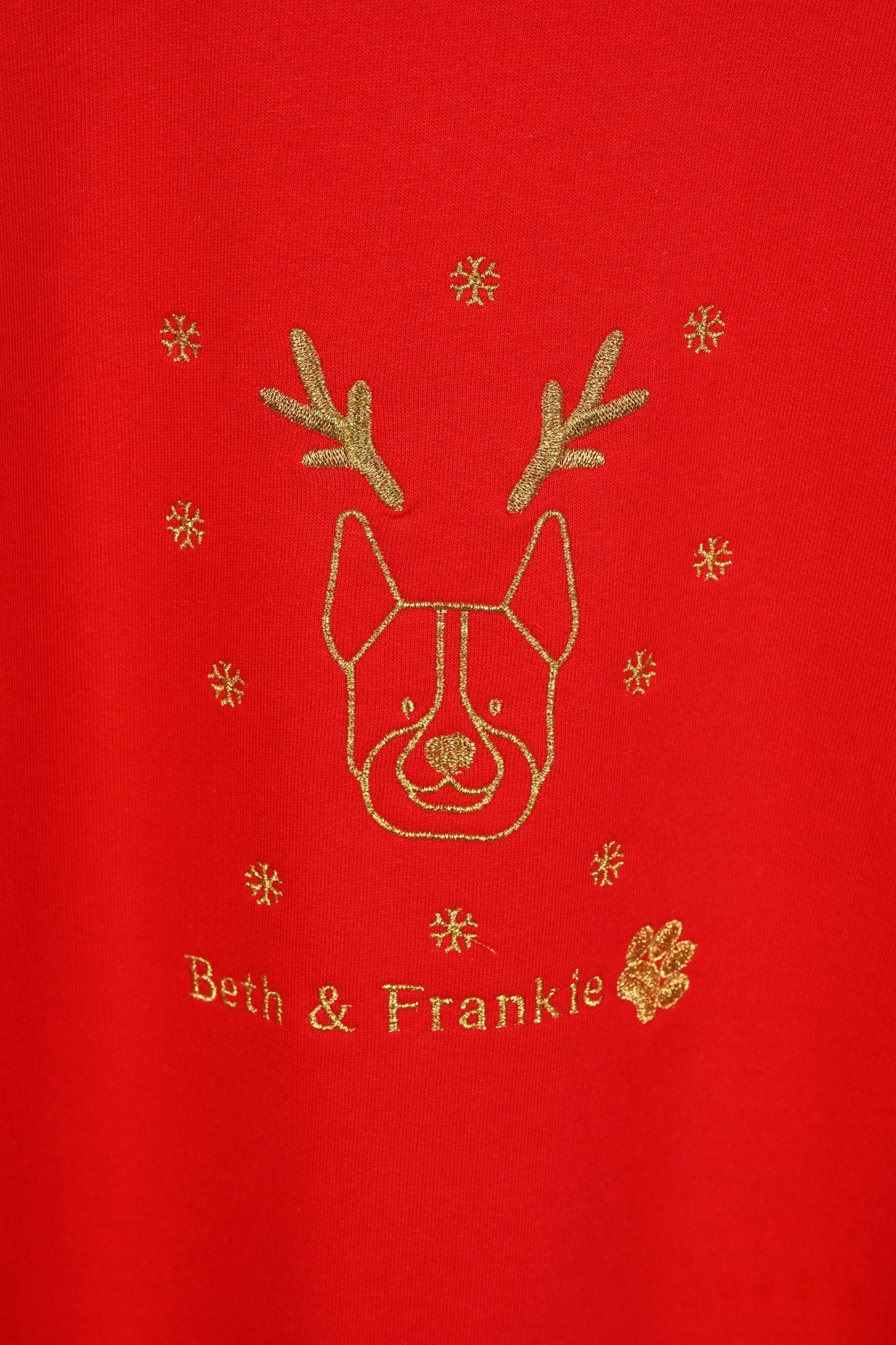 Personalised My Dog and Me Christmas Sweater