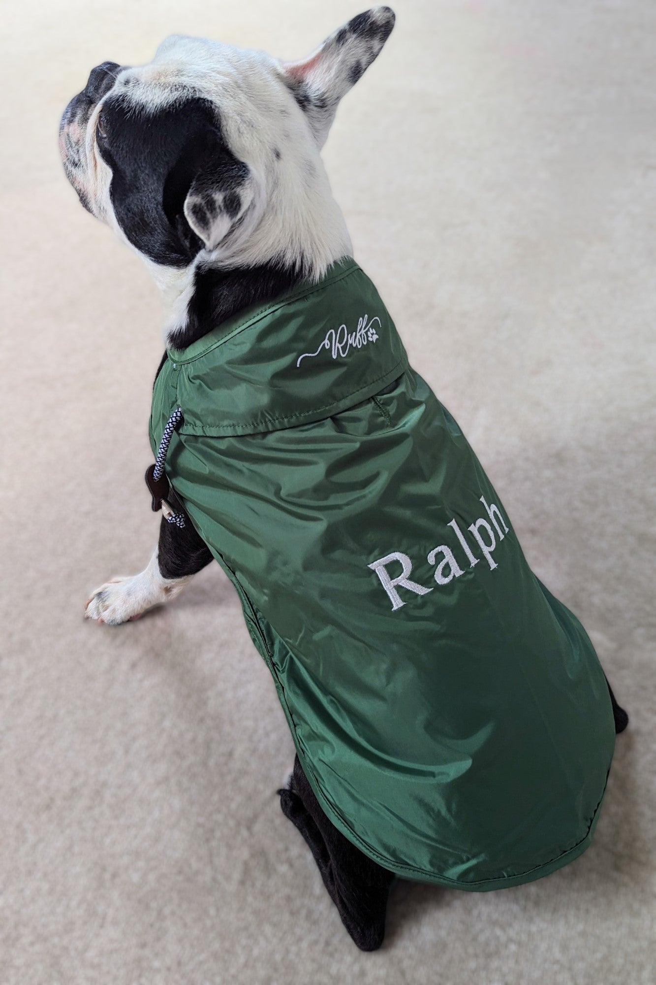 Ralph lauren hot sale dog coat