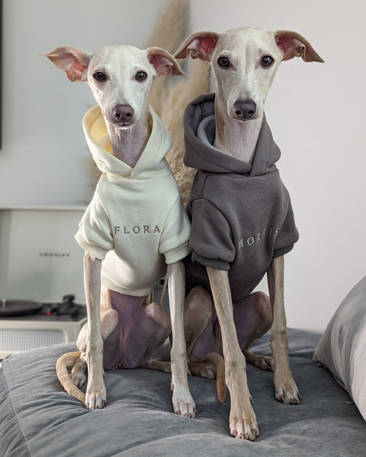 Luxury Essential Dog Hoodie